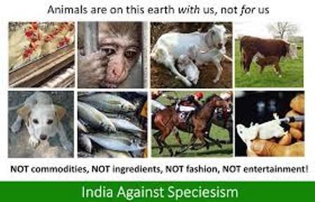 World Day Against Speciesism
