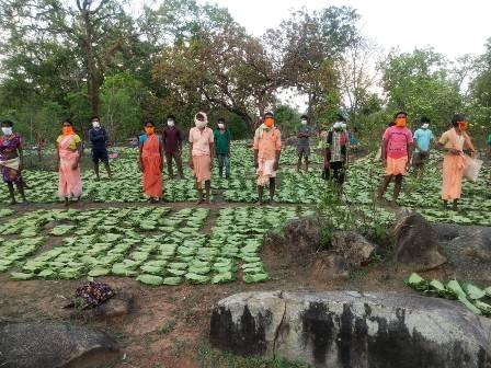Chhattisgarh CM Bhupesh Baghel launches Indira Van Mitan scheme to make forest-dwellers self-reliant