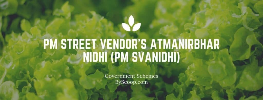 Government Schemes (PM SVANidhi)
