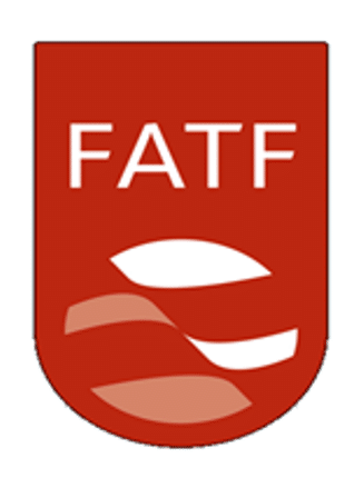 Pakistan to remain in grey list of FATF till February 2021