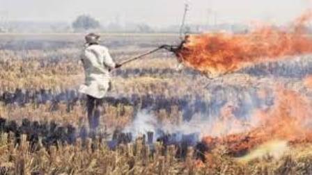 Supreme Court appoints Former Justice M B Lokur as one-man panel to prevent stubble burning in Punjab, Haryana and UP