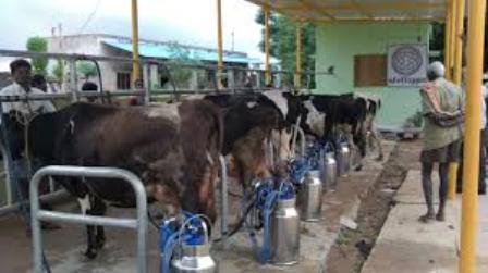 IIT Madras incubated startup Stellapps launches ‘mooPay’ for dairy farmers in Rajasthan