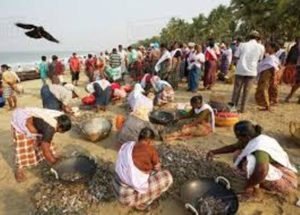Kerala launches 'Parivarthanam' scheme for better livelihood of Fishing Community