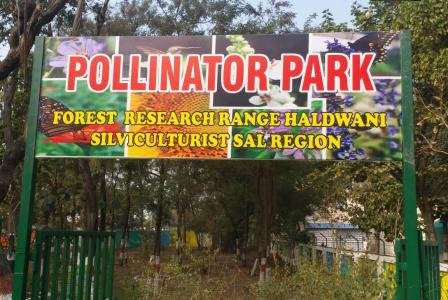 India's first Pollinator Park inaugurated in Haldwani, Uttarakhand