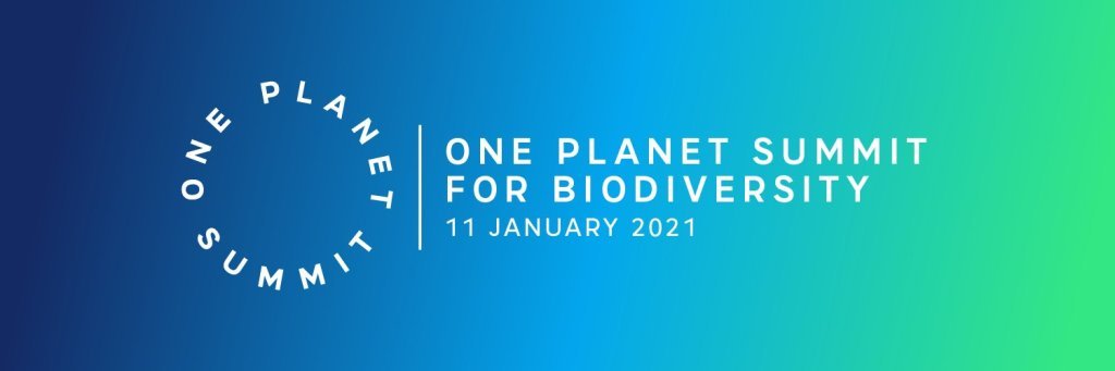 France hosts 4th One Planet Summit 2021 in cooperation with UN and World Bank