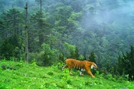 India becomes co-chair of Asia Protected Areas Partnership (APAP), a regional forum to conserve wildlife