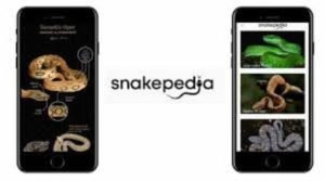 'Snakepedia' mobile app launched in Kerala to help treat snake bites