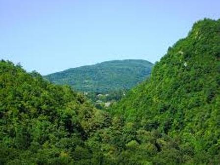 Uttarakhand sets up Botanical Garden to conserve 210 species of trees of Shivalik range