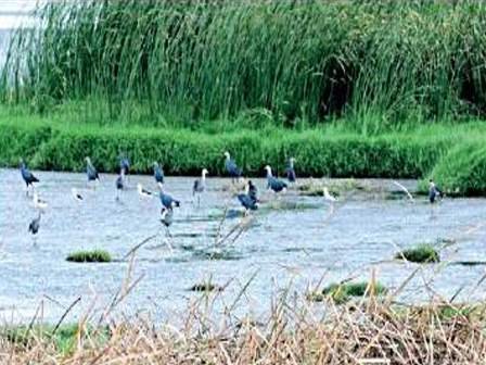 India gets its first Centre for Wetland Conservation and Management in Chennai
