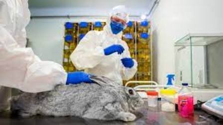 Russia Registers World's First Covid-19 Vaccine For Animals named 'Carnivac-Cov'