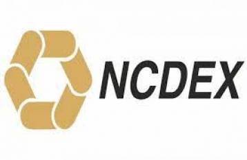 SEBI Appoints Arun Raste as MD and CEO of NCDEX for 5 years