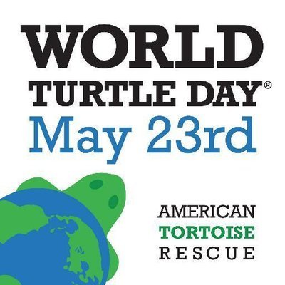 World Turtle Day: 23 May