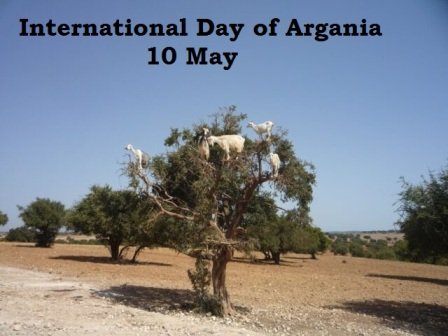 International Day of Argania: 10 May