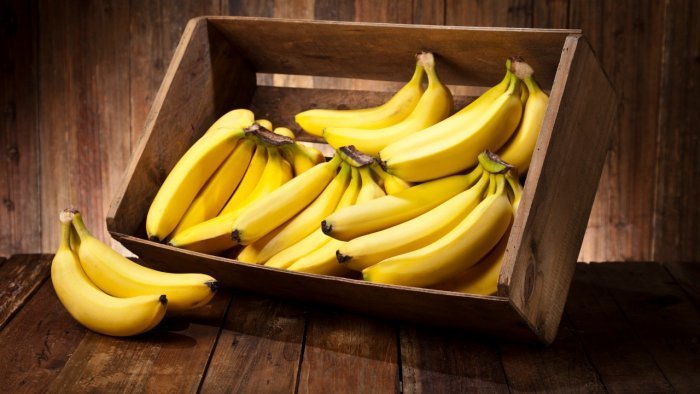 Maharashtra's GI certified Jalgaon banana exported to Dubai