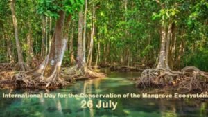 International Day for the Conservation of the Mangrove Ecosystem: 26 July