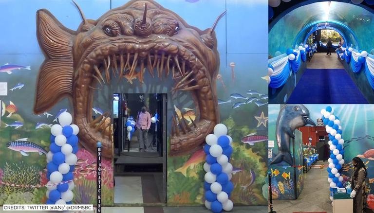 Indian Railways Install India’s First Movable Freshwater Tunnel Aquarium at Bengaluru Station