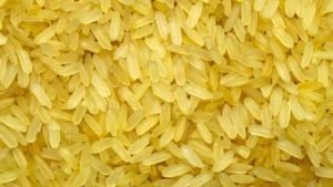 Philippines becomes world's first country to approve genetically modified 'golden rice' for commercial production