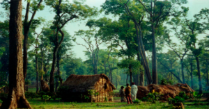 Chhattisgarh becomes first state to recognise Community Forest Resource rights in an urban area