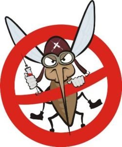 World Mosquito Day: 20 August