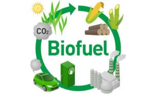World Biofuel Day: 10 August