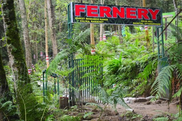 India's largest open air fernery inaugurated in Uttarakhand