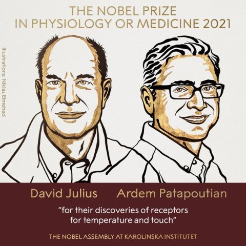 American Scientists David Julius and Ardem Patapoutian wins 2021 Nobel Prize in Medicine