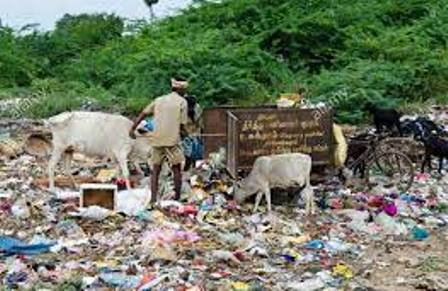 Government launches web portal 'Waste to Wealth' to find solutions to India’s waste problems